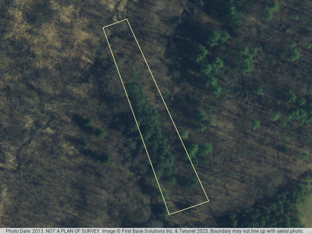 Trenton property