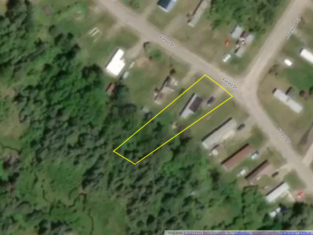 Ear Falls property