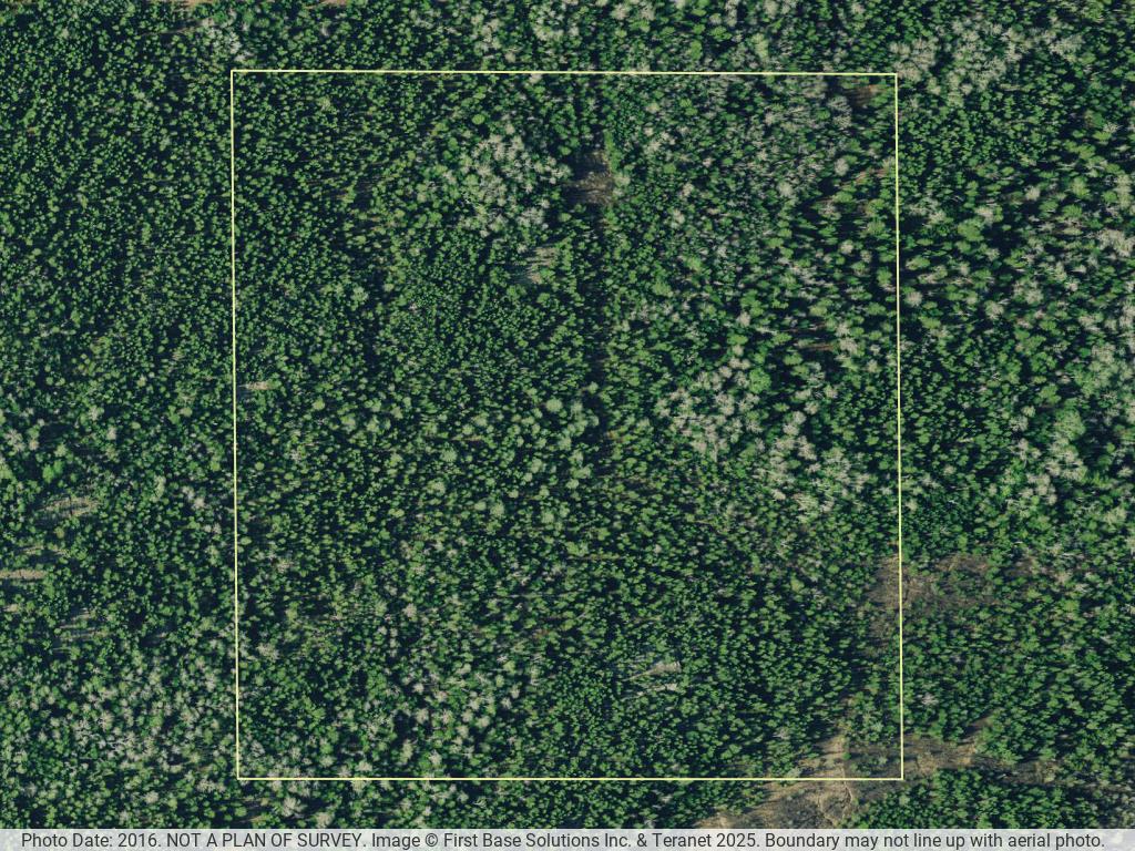 Timmins  property